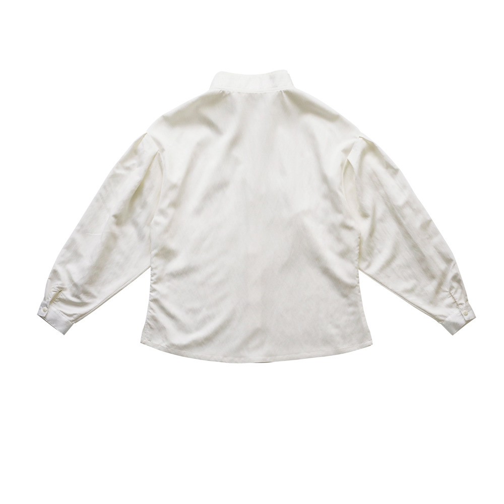 blouse white color image-S16L2